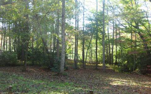 LOT18 Spring Camp Road