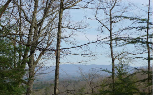 LOT 8 Hickory Ridge