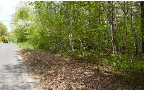 LOT9 Warlick Drive