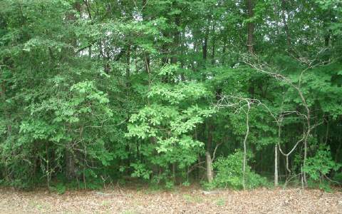 LT 55 Timberwalk Drive