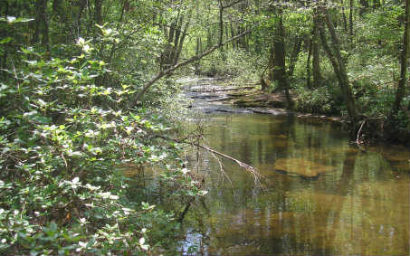 17AC North Bull Gap Road