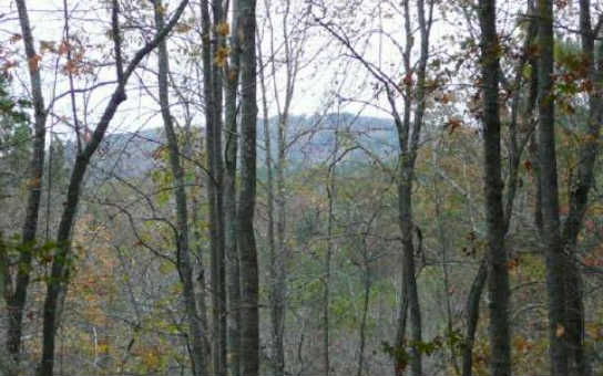 9.5AC Berean Church Road