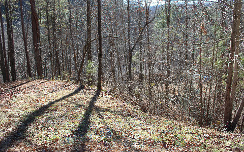 LT 87 Mountain Creek Hollow Drive