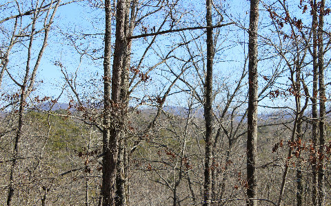 LT98 Whispering Pine Road
