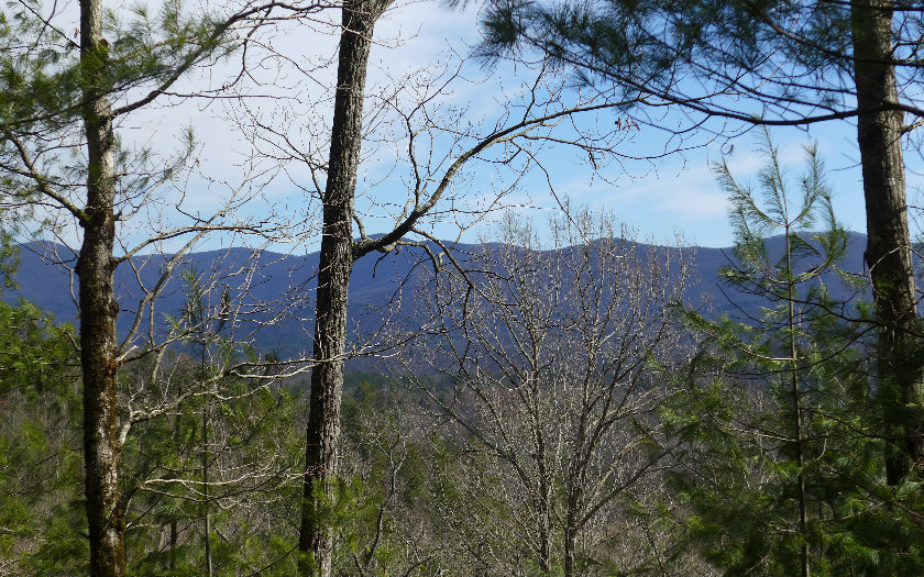 LT 10 Bryant Creek Road