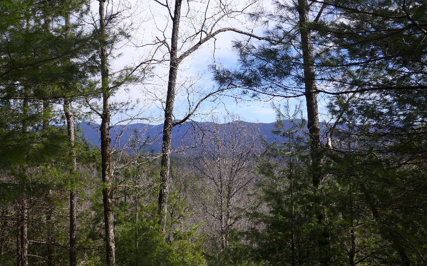 LT 11 Bryant Creek Road
