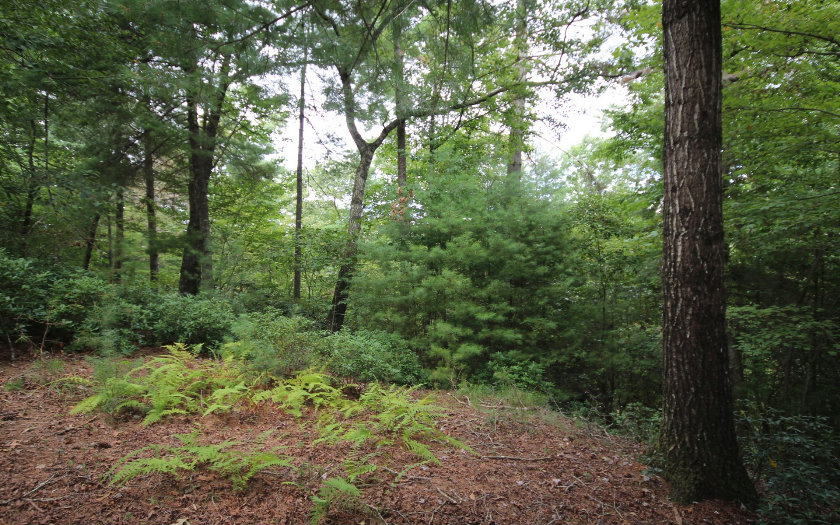 116 Blackberry Circle