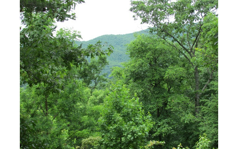 00 Laurel Top Ridge