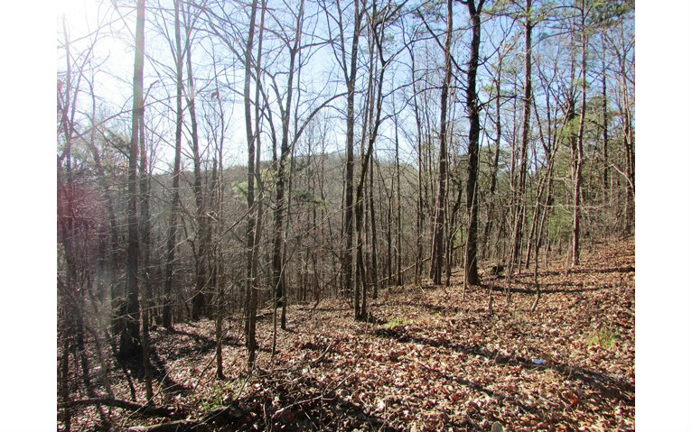 TR 2 Ravencliff Road