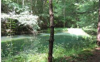 8.15 Old Mill Road