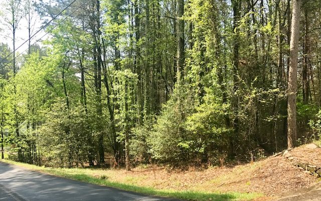 LT104 Shenandoah Drive