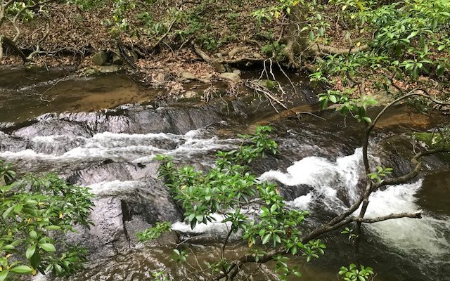 LT 17 Mountain Falls Loop