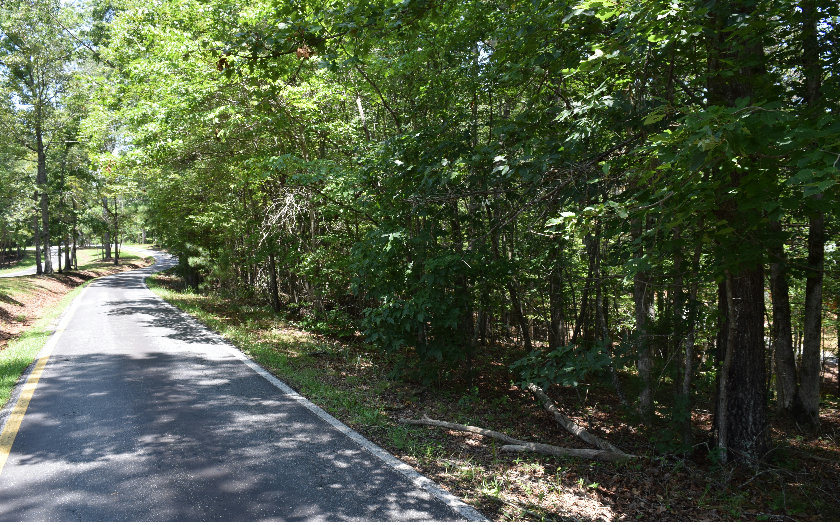 LT559 Eagle Mountain Drive