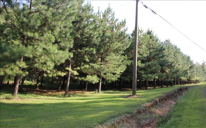 3.47 Acres Knight Road
