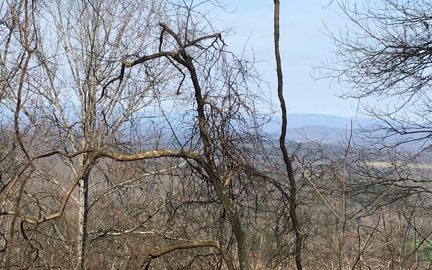 LT193 Hawks Nest