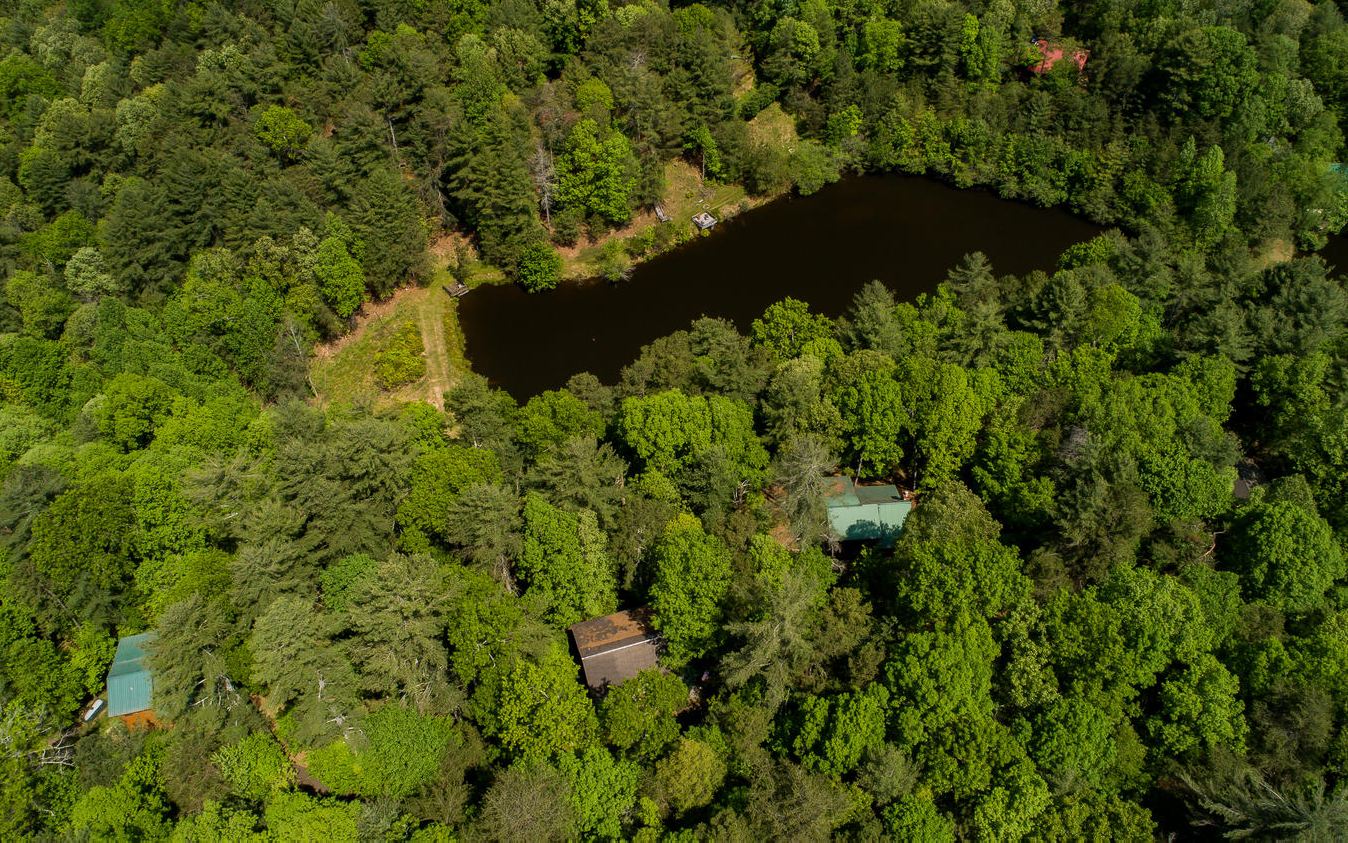 168 Spring Lakes Drive