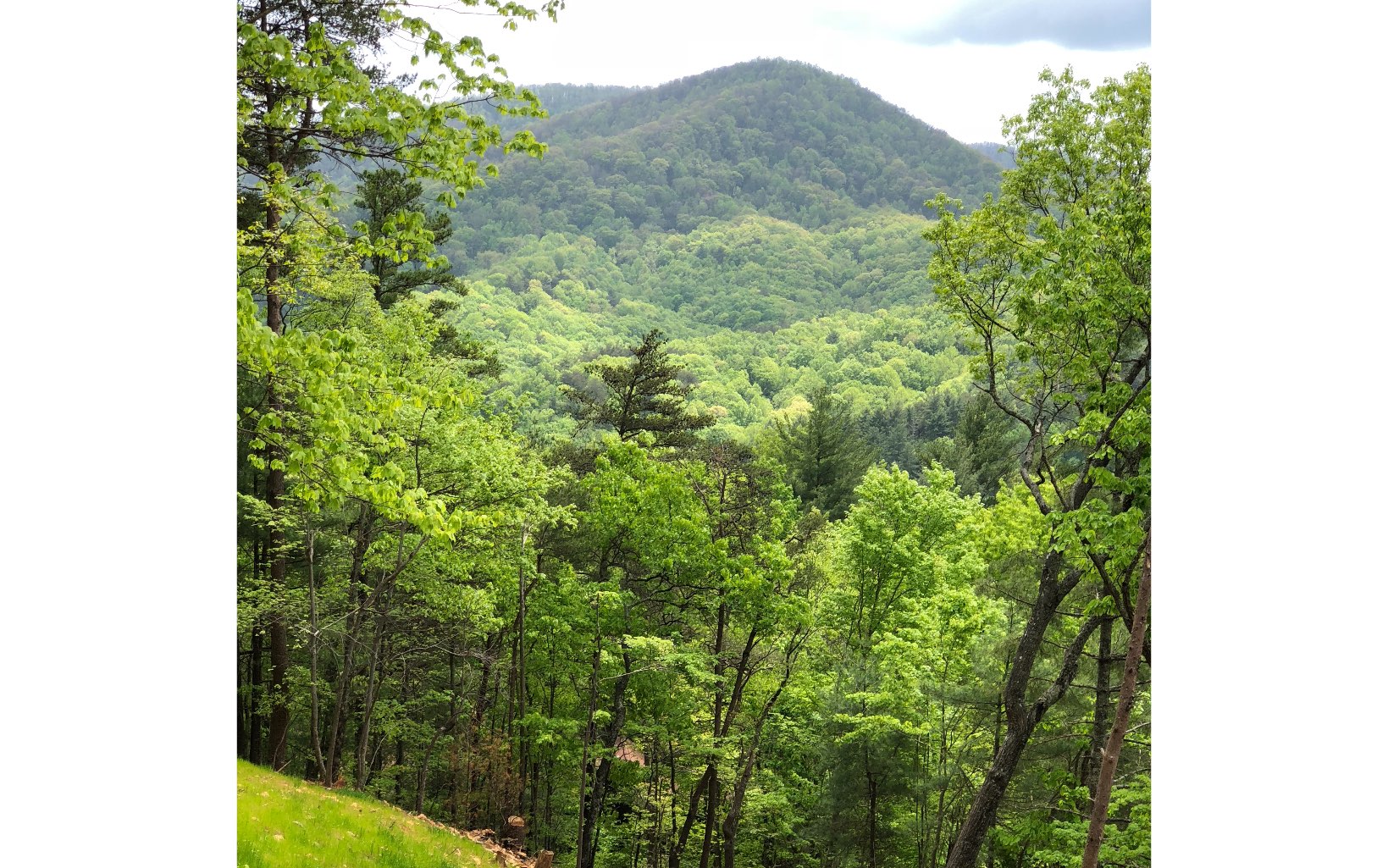 108 Little Rock Creek Path