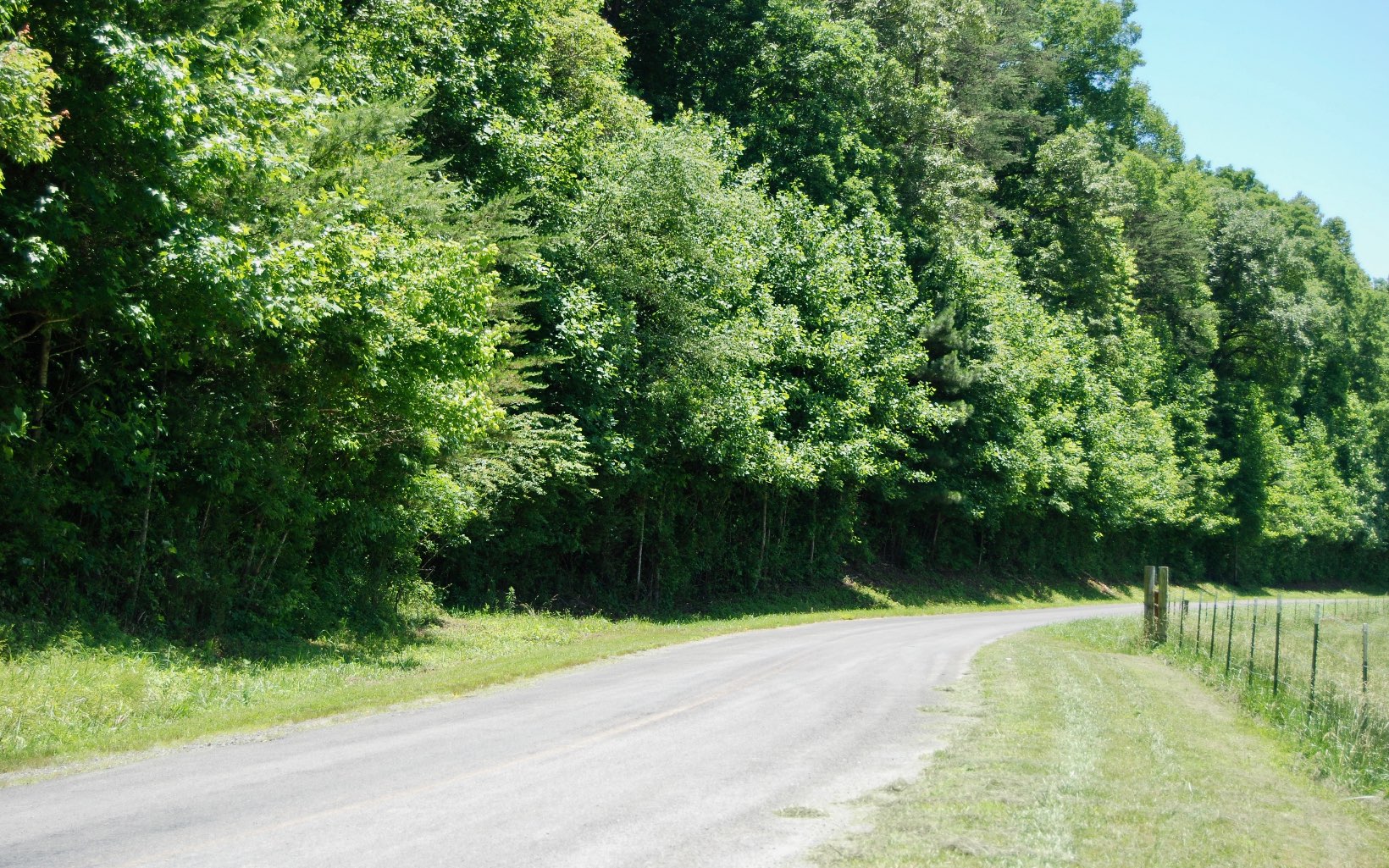 Boardtown Road