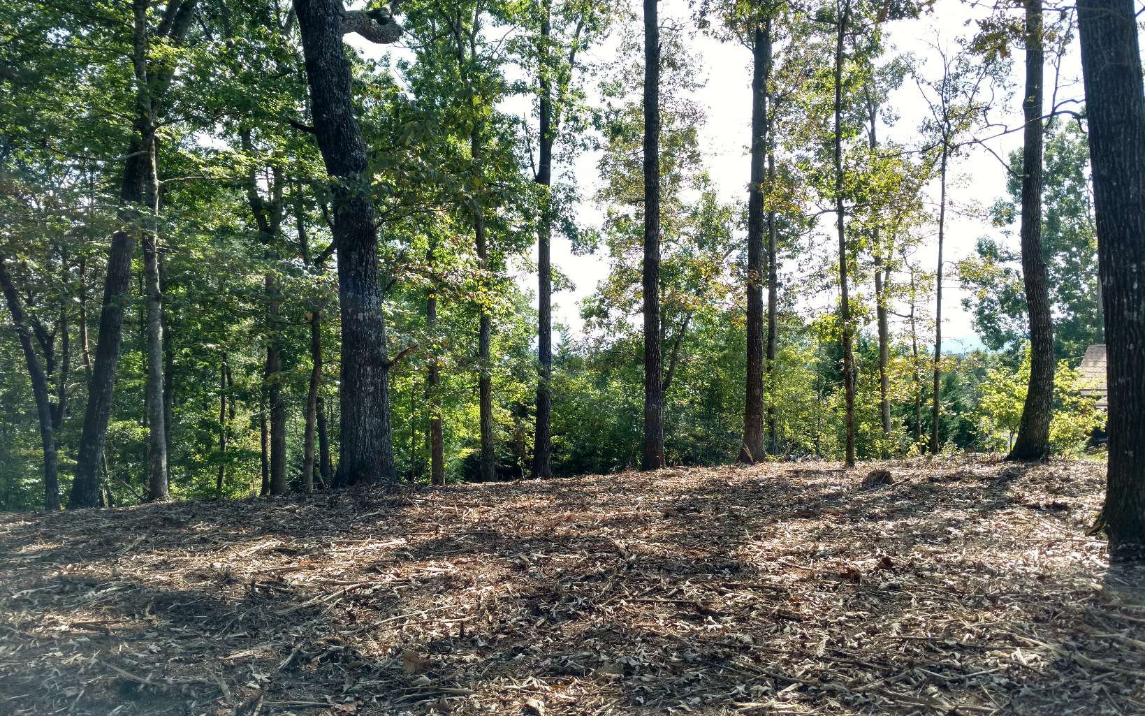 LT 85 Oakview Drive
