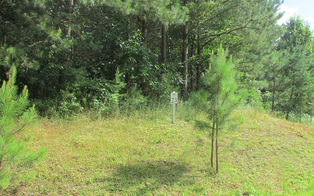LT23 Foxpaw Leaf Lane