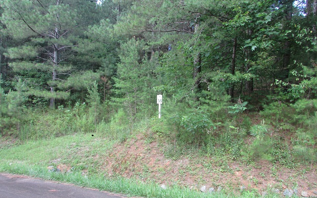 LT33 Foxpaw Leaf Lane