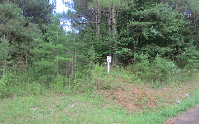 LT33 Foxpaw Leaf Lane
