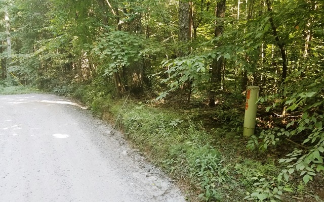 LT 10 Bear Paw Trail