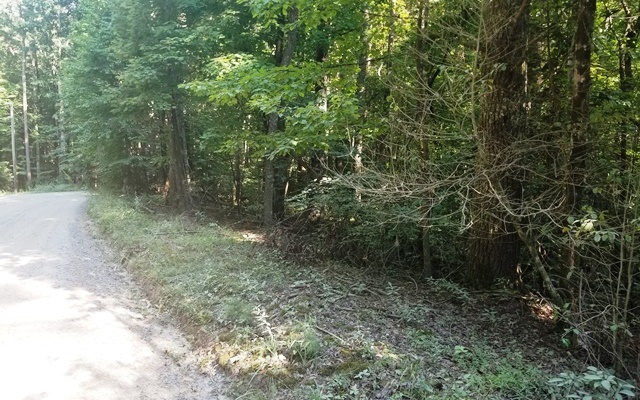 LT 10 Bear Paw Trail