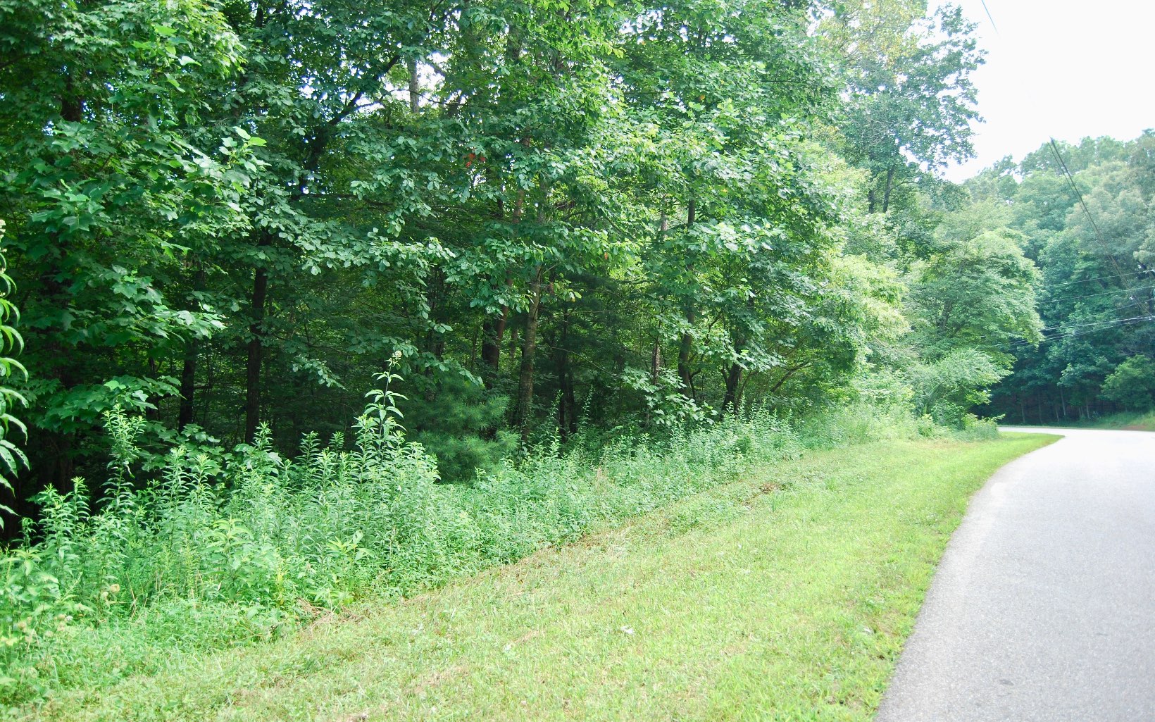 Blackberry Mountain Road