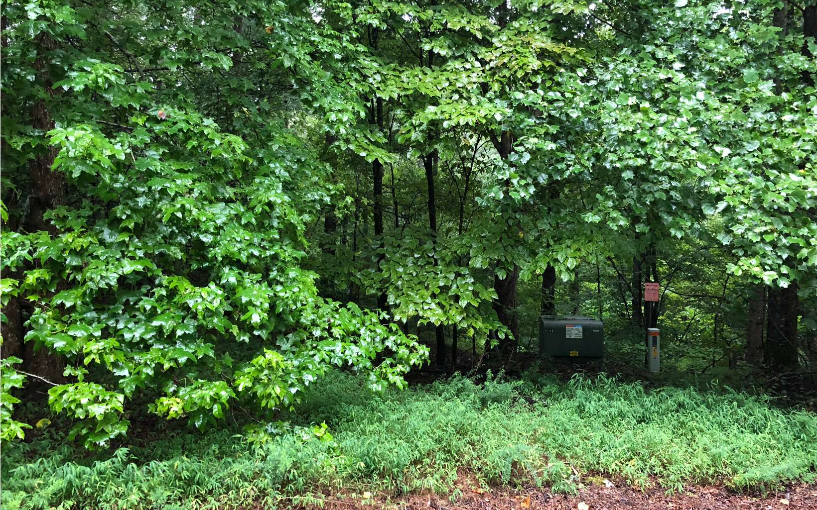 372 Emerald Springs Lane