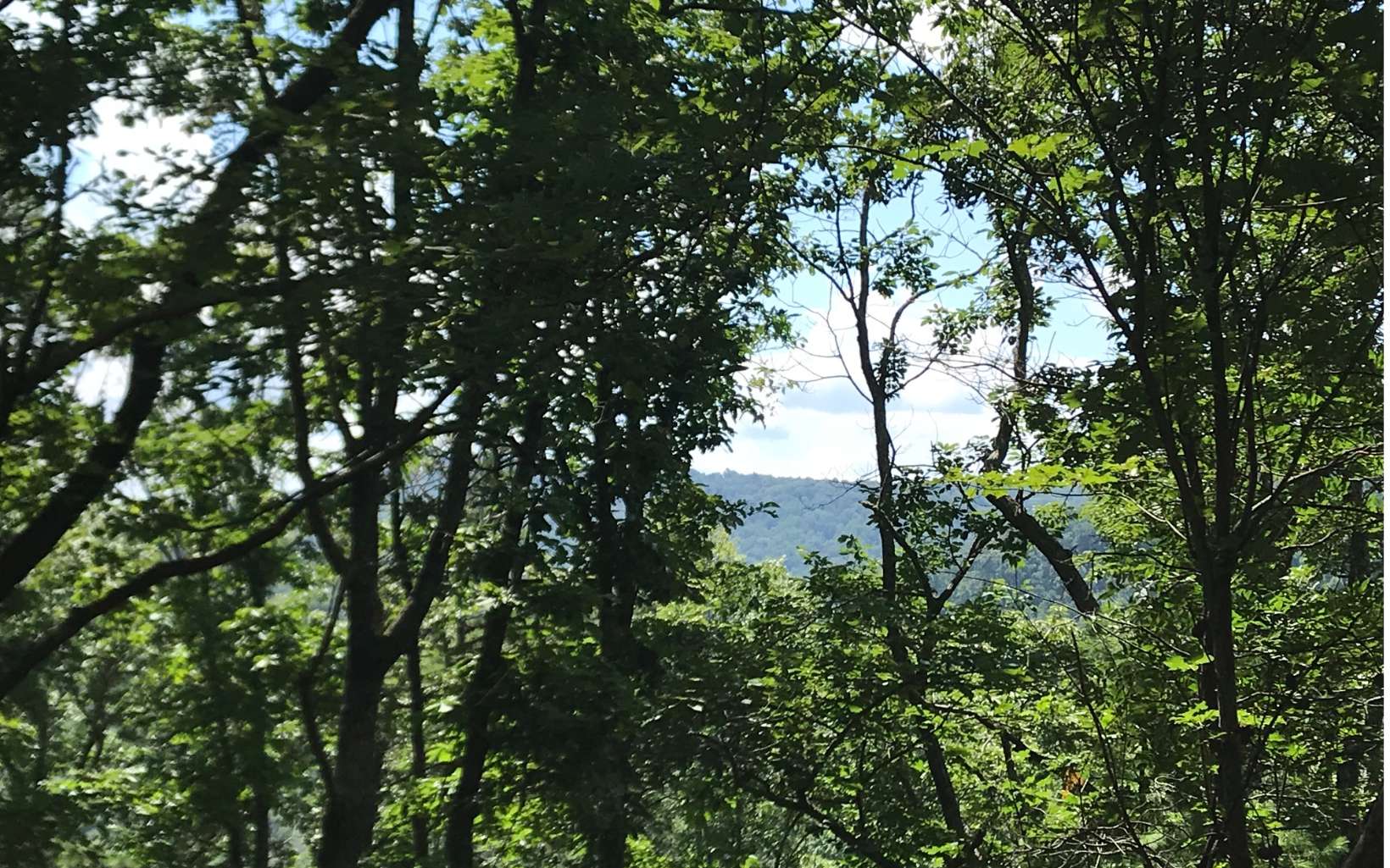 3.7AC Raintree Bend
