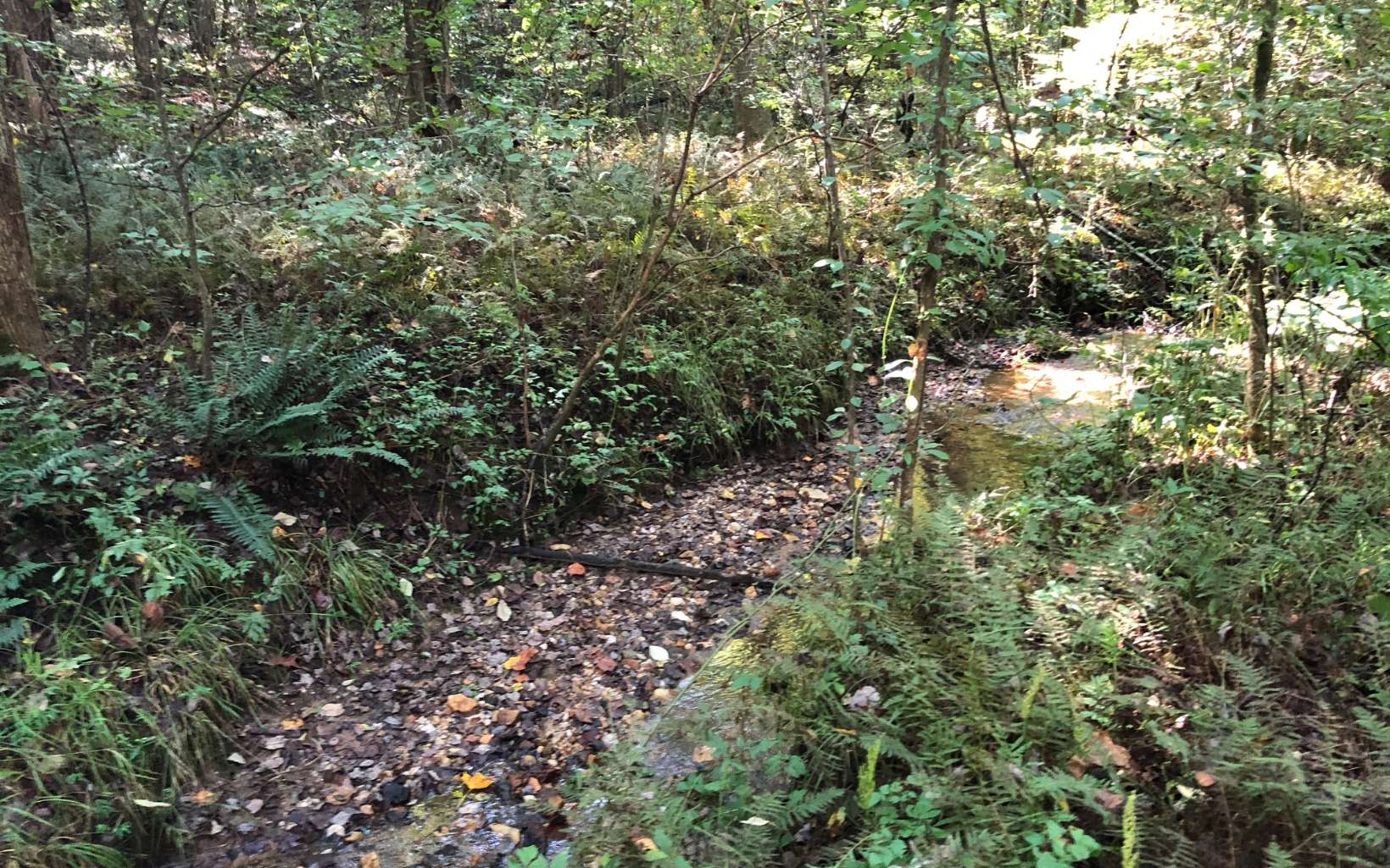 LOT54 Holt Road