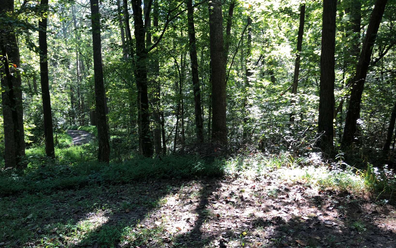 LOT54 Holt Road