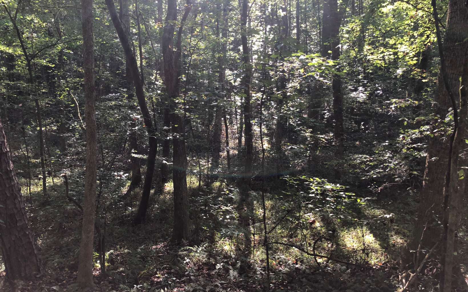 LOT54 Holt Road