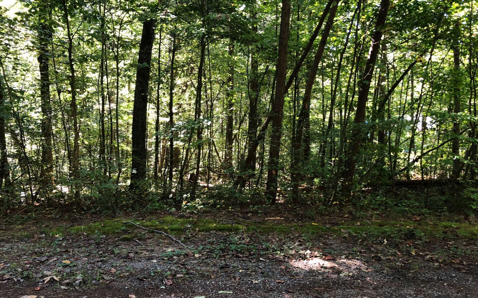LOT54 Holt Road