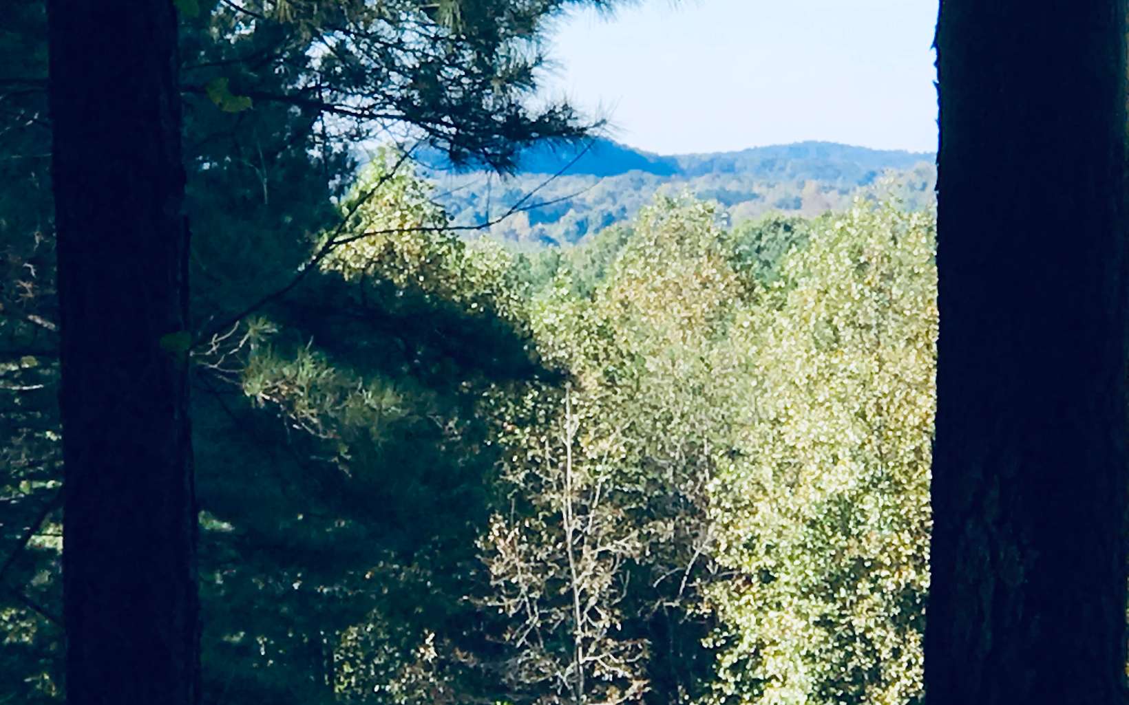 LT 2 Black Bear Ridge Road
