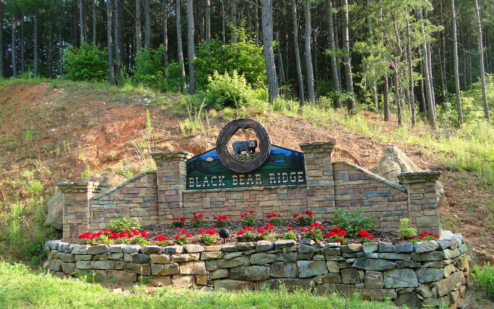 LT 2 Black Bear Ridge Road