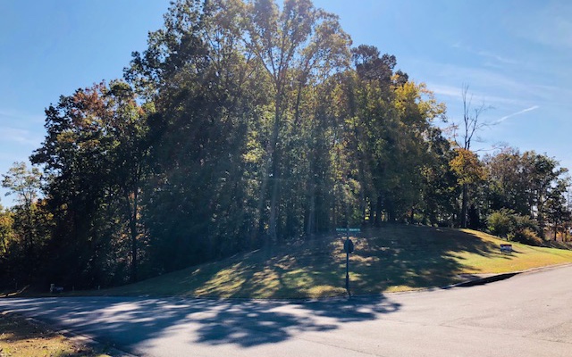 LT 88 Oak View Drive