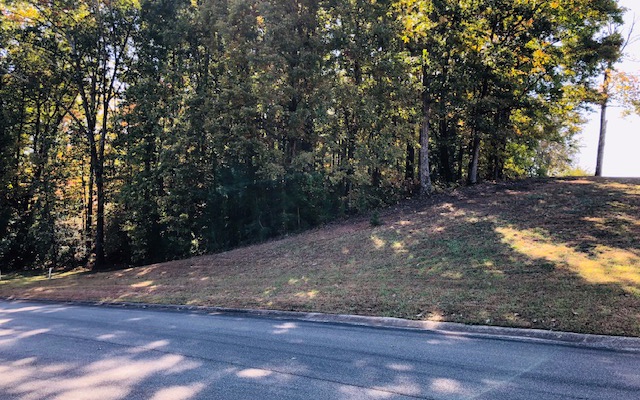 LT 89 The Oaks Drive