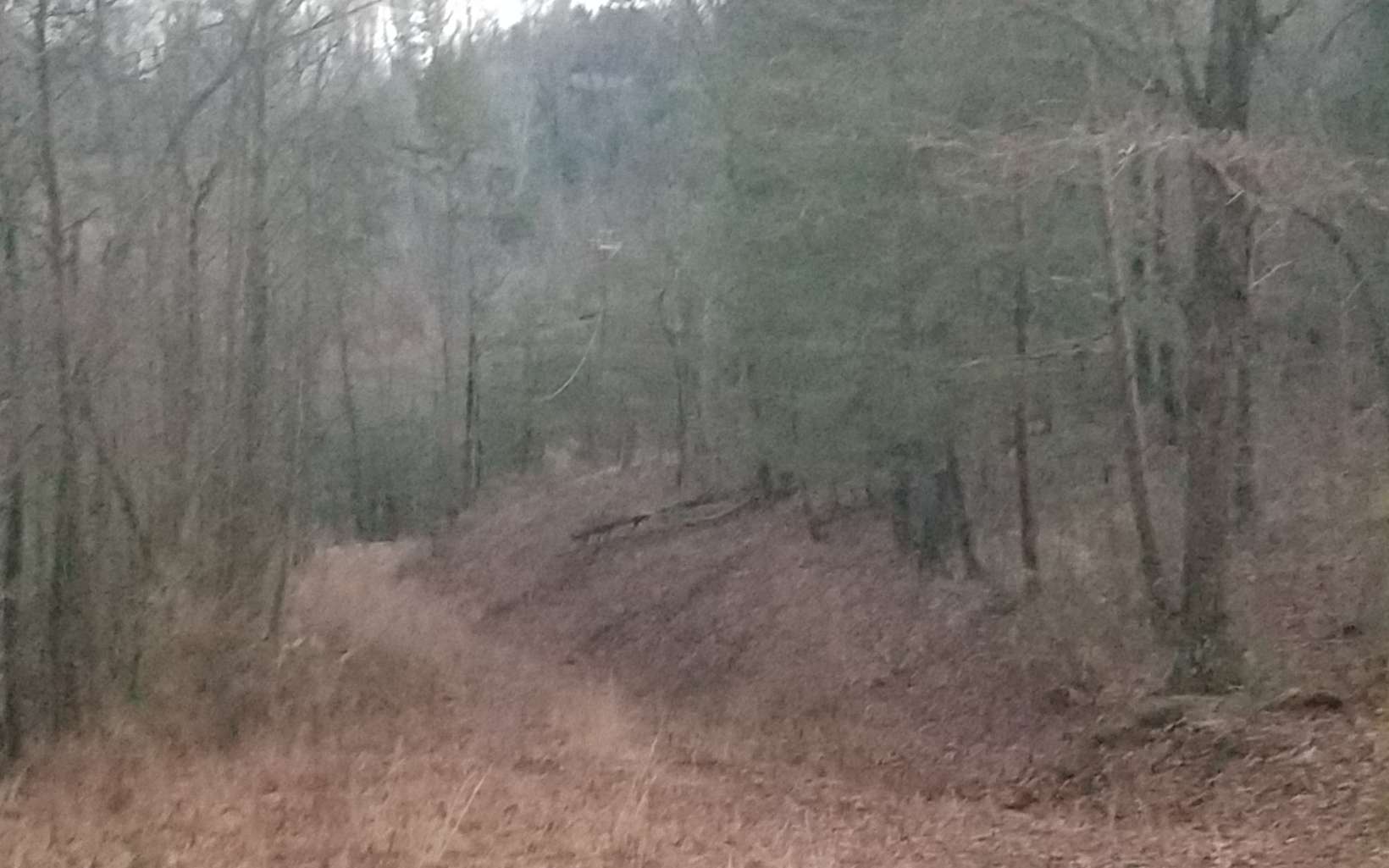 2346 Pleasant Gap Road