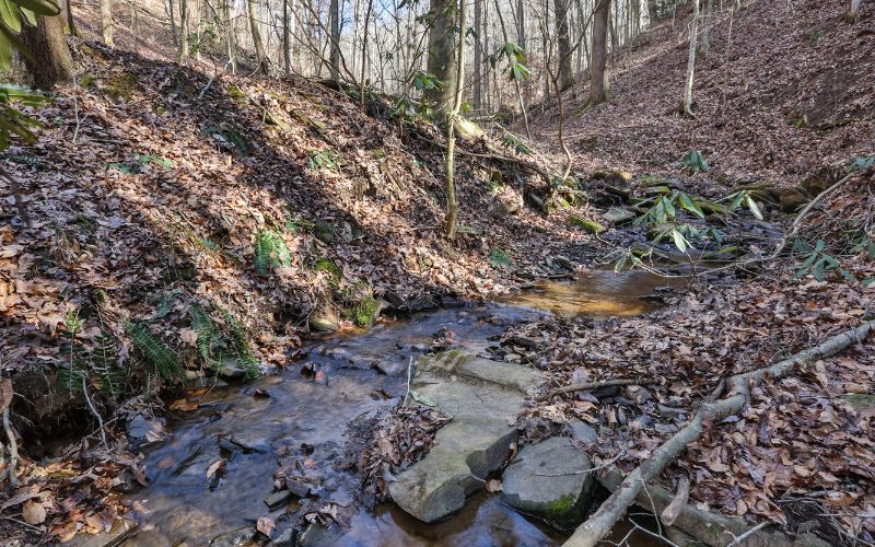 340 Cold Stream Court