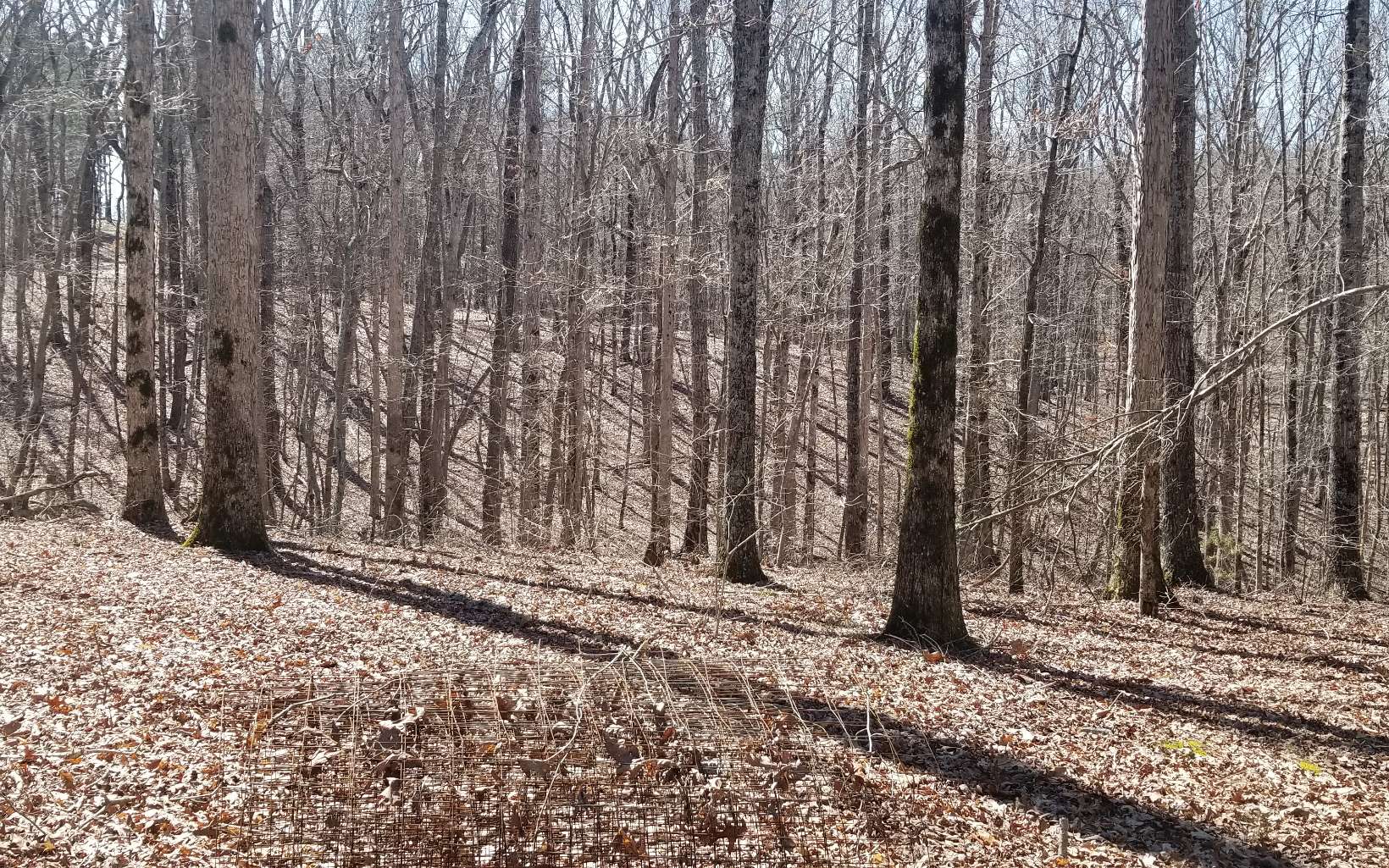 453 Log Round Mountain Trail
