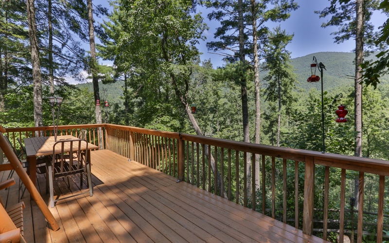 465 Cohutta Forest