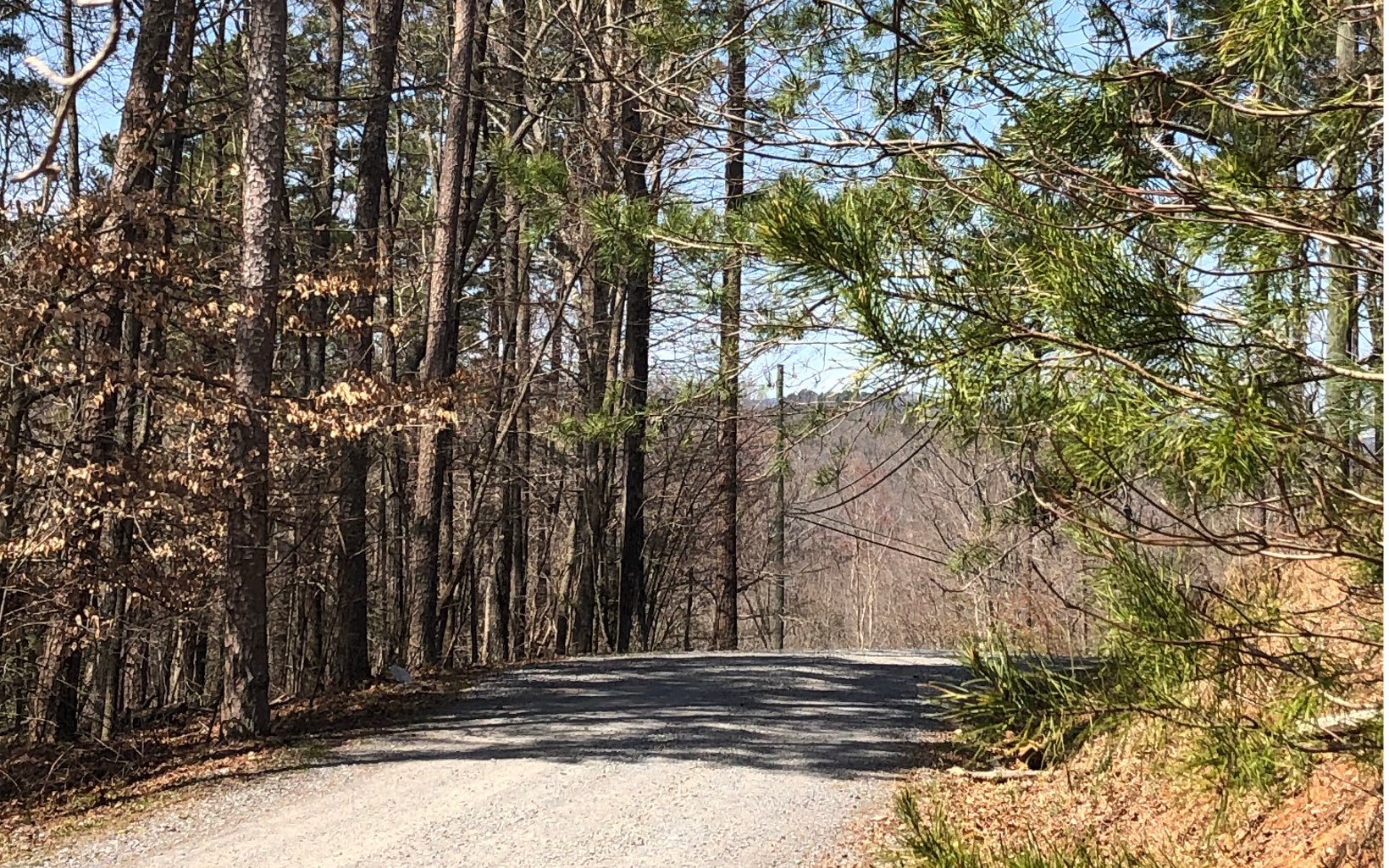 00 Matrix Lane