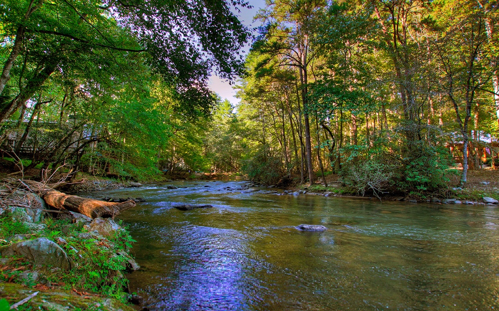 375 Whitewater Run Court