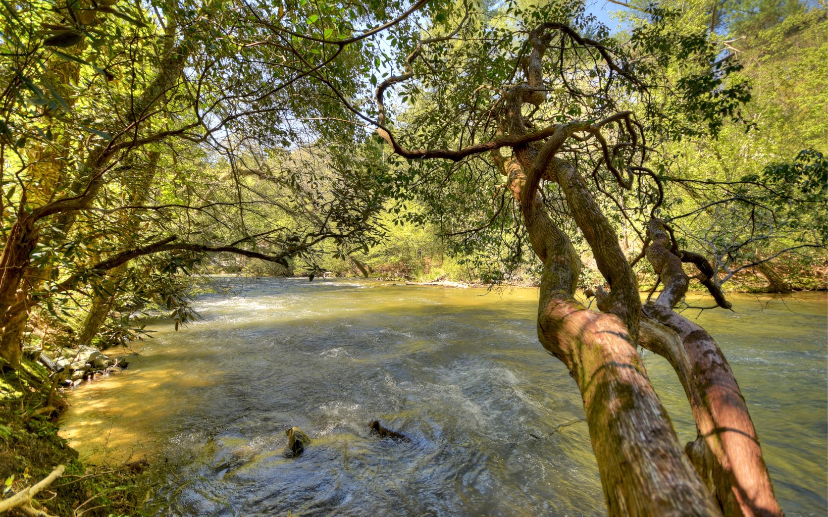 329 Blackberry Falls Lane