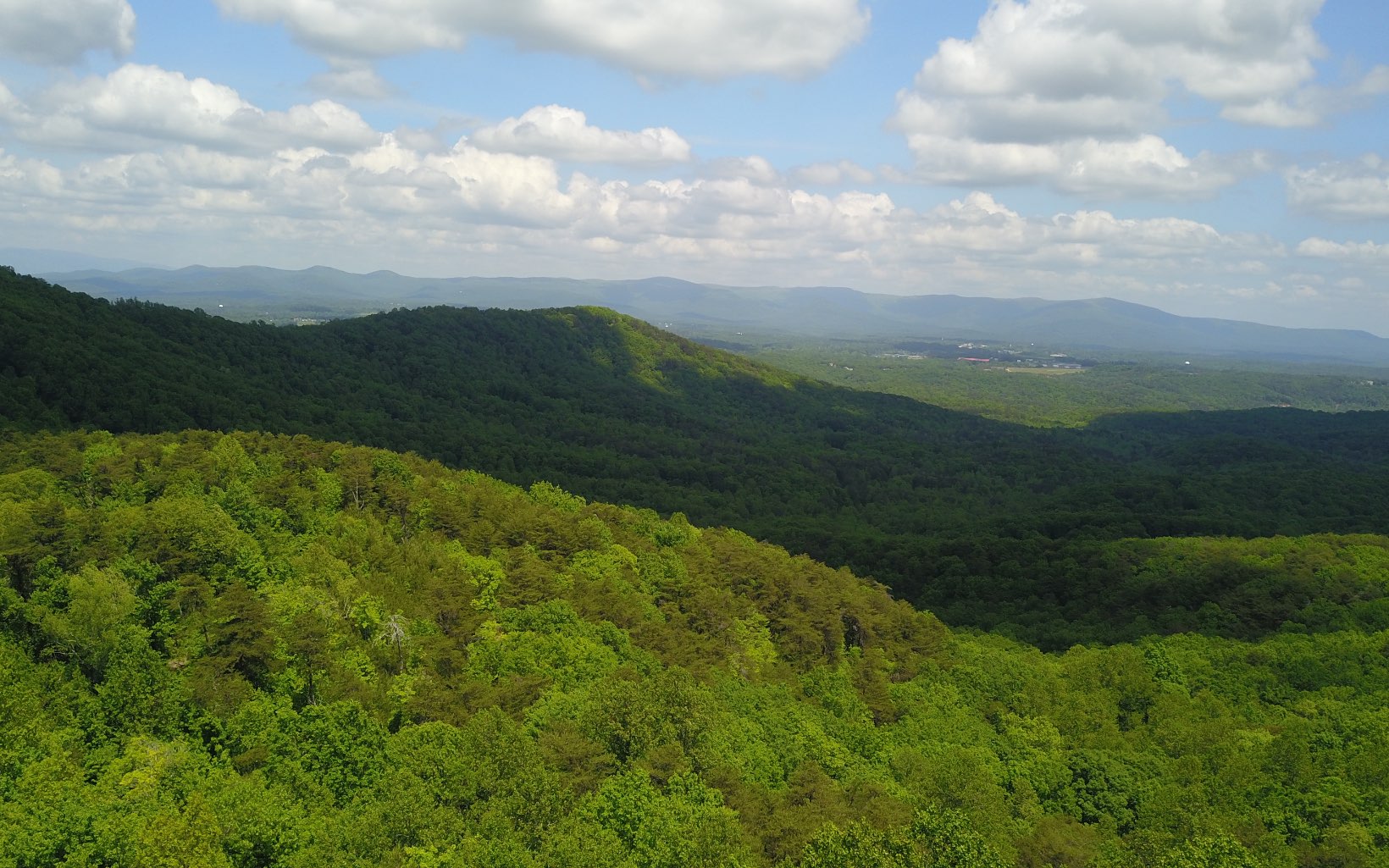 00 Firetower Road