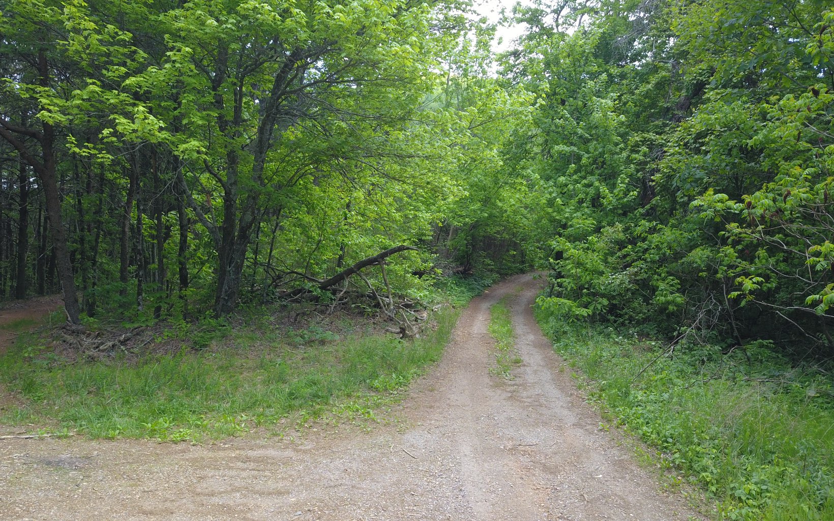 00 Firetower Road