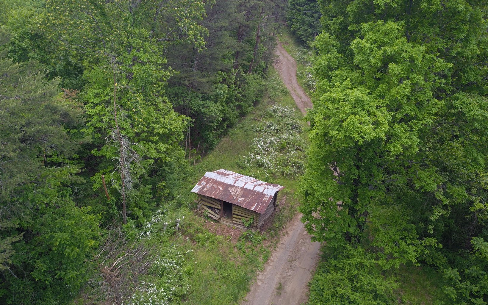 00 Firetower Road