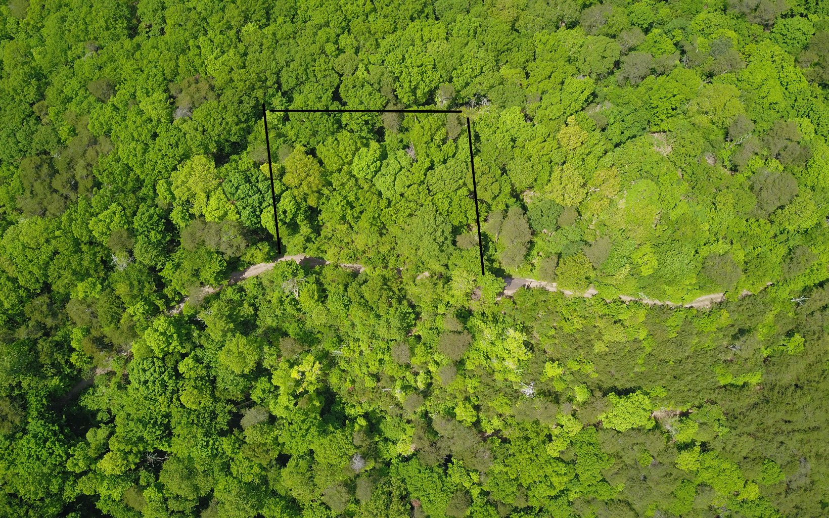 00 Firetower Road